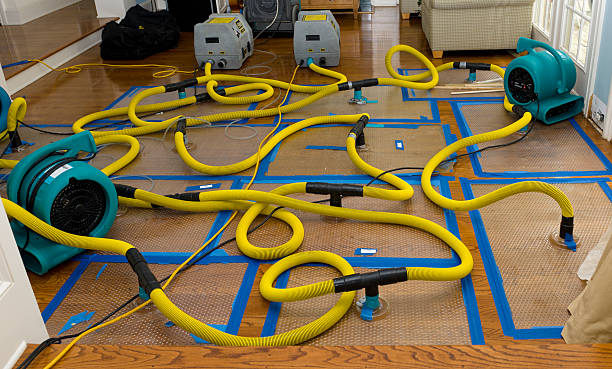 Professional Sewage Cleanup technician working in Tahoka, TX